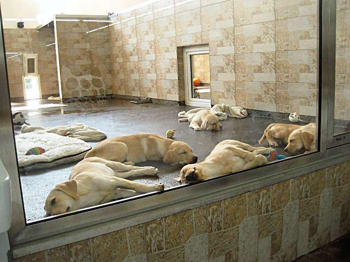 PeTA greift erneut Zoo Zajac an / Foto: https://www.golocal.de/duisburg/versandhandel/zoo-zajac-gmbh-1u33G/fotos/?p=11