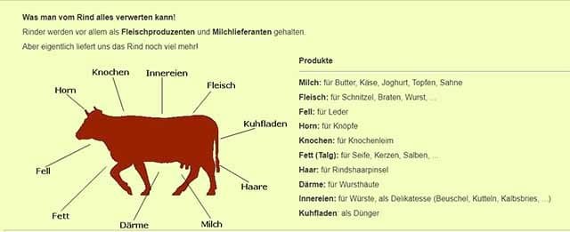 Was so alles aus einer Kuh gewonnen wird - Screenshot schema.at