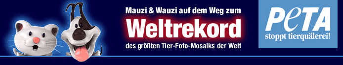 Screenshoot Webseite