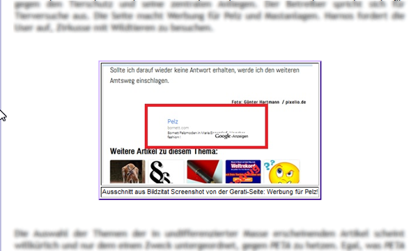 Screenshot Pseudeblog Doggennetz.de! Faru Karin Burger liebt Pelz