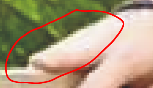 Hingegen sind bei der Hand des jungen Mannes keine verwirbelungen(Fehlpixel zu erkennen