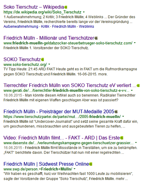 Google Suche nach Friedrich Mülln