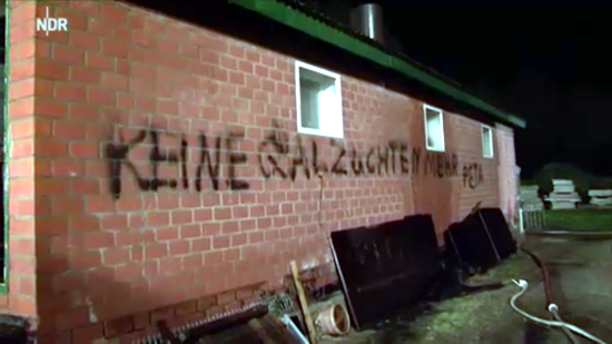 Screenshot Video NDR - http://www.ndr.de/nachrichten/niedersachsen/lueneburg_heide_unterelbe/100-Schweine-verbrannt-Wer-steckt-dahinter,stallbrand156.html