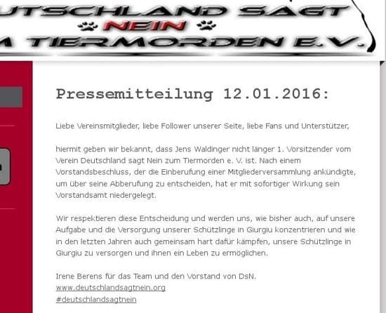 Screenshot: Pressemitteilung von DsN