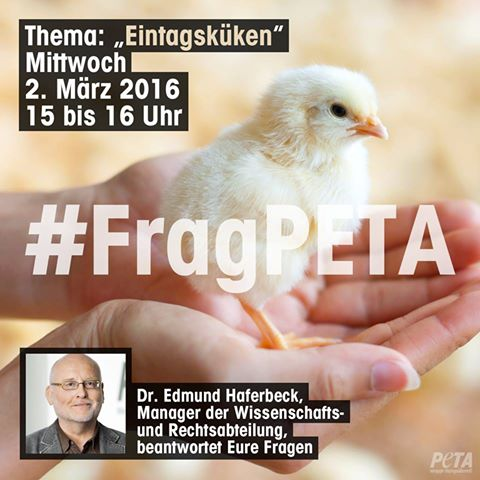 Unsere Fragen an PeTA über den Hashtag #FragPeTA