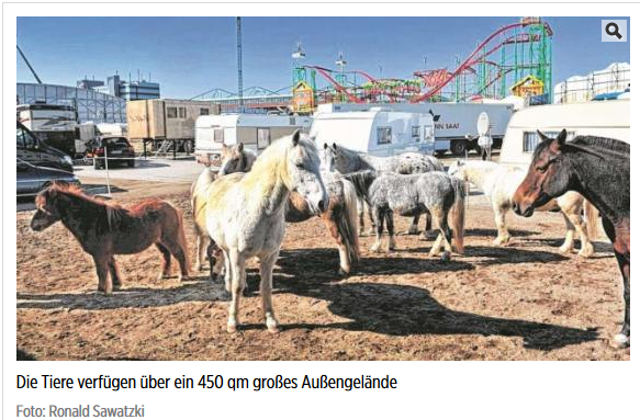 Screenshot: http://www.bild.de/regional/hamburg/hamburger-dom/aktivisten-stuermen-ponyreiten-kinder-verletzt-45160336.bild.html