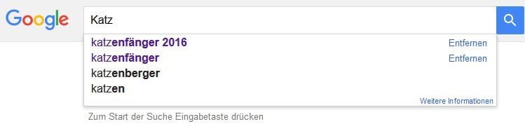 Screenshot Google