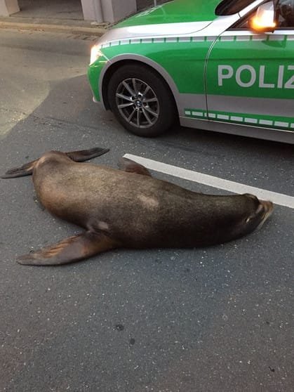 PeTA Hasskritik an Circus Krone / Bild Polizei Coburg