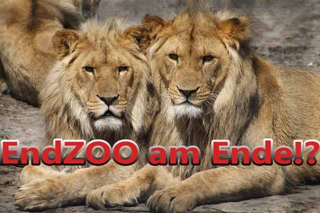 EndZOO am Ende