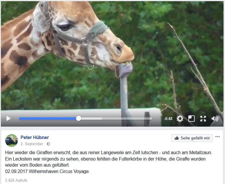 Screenshot Facebook