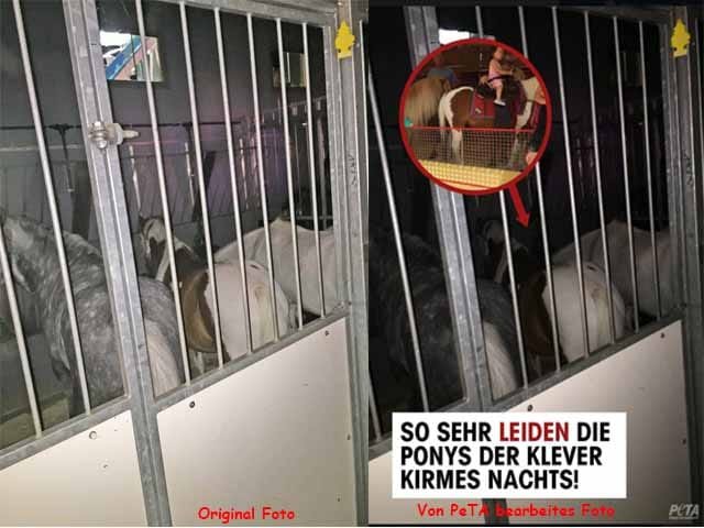 So manipuliert PeTA Bilder um eine gänzlich andere Aussage zu erzeugen!